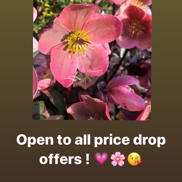 Open to all price drop offers! - Picture 1 of 1